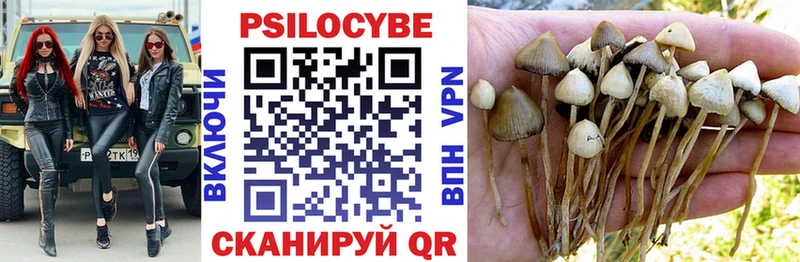 Галлюциногенные грибы мицелий  Купить где  Плёс 